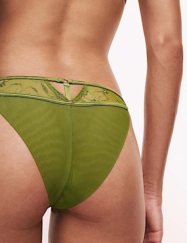 Freya Embroidered Miami Knickers