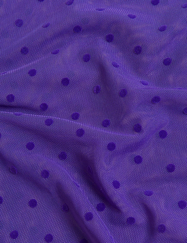 Spot Mesh Long Sleeve Top
