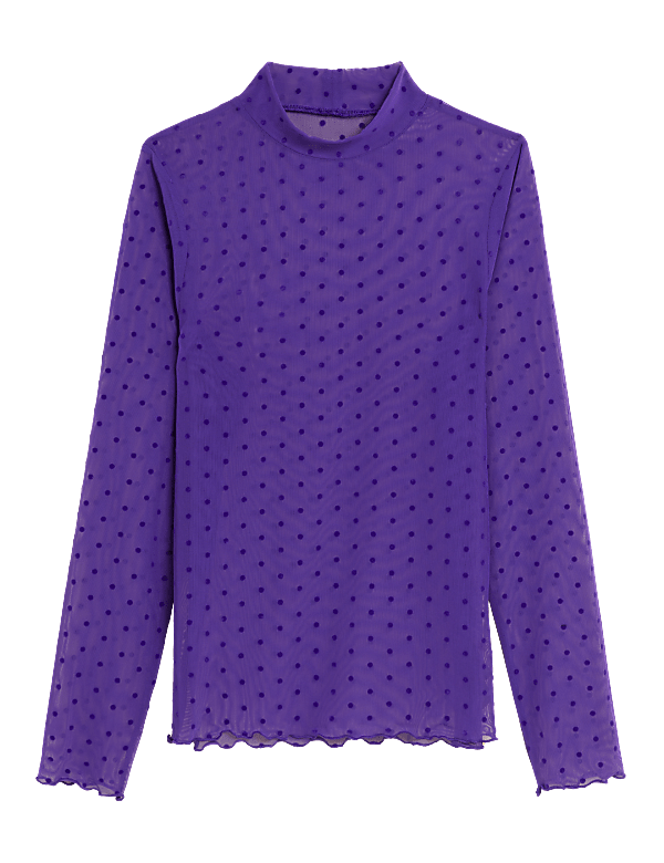 Spot Mesh Long Sleeve Top
