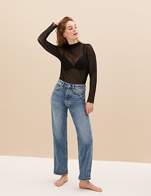 Spot Mesh Long Sleeve Top