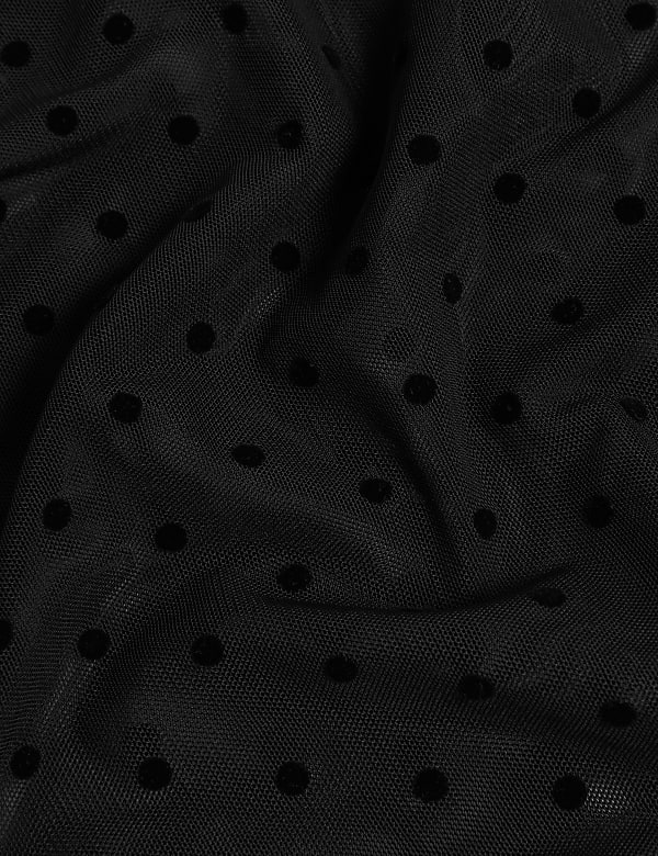 Spot Mesh Long Sleeve Top