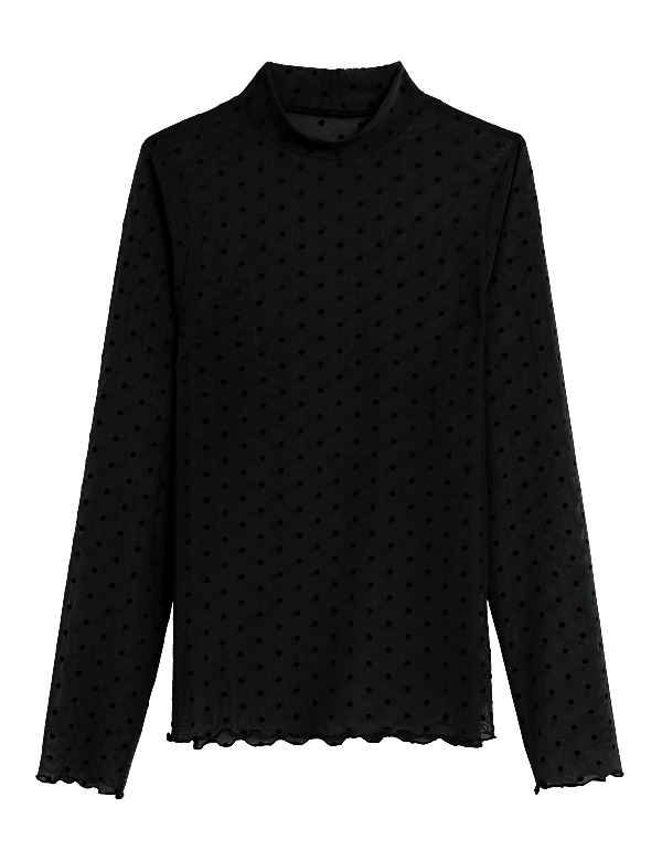 Spot Mesh Long Sleeve Top