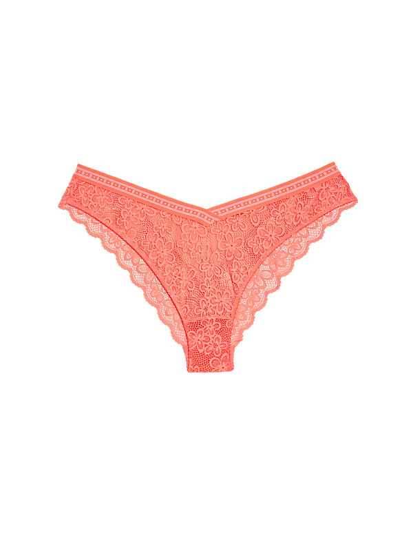 Cleo Lace Miami Knickers