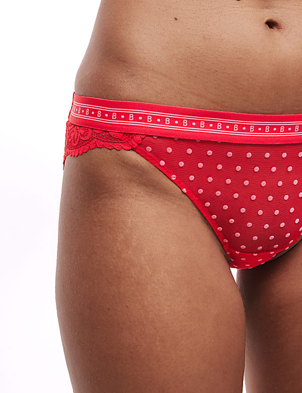 Alma Flock & Lace Bikini Knickers - MX