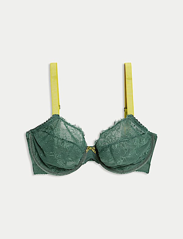 Anna Lace Wired Plunge Bra (F-H) - AL