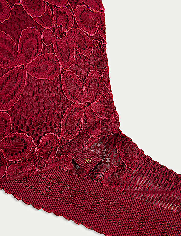 Cleo Lace Wired Push-Up Plunge Bra (A-E)