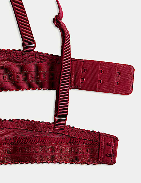 Cleo Lace Wired Push-Up Plunge Bra (A-E)