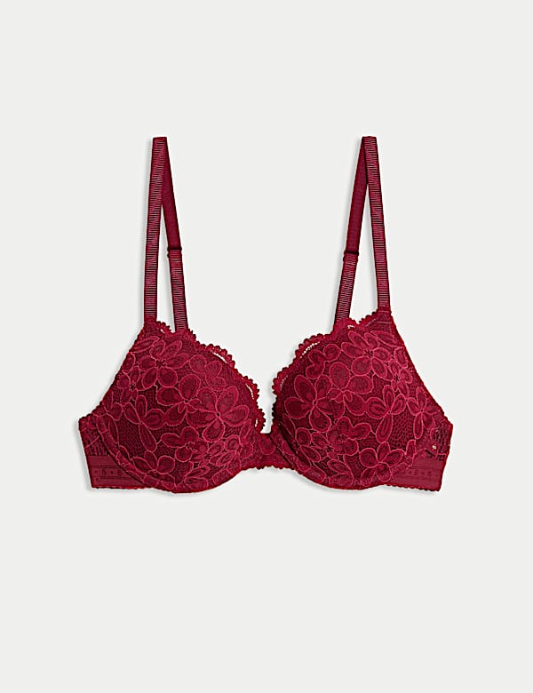 Cleo Lace Wired Push-Up Plunge Bra (A-E) - US