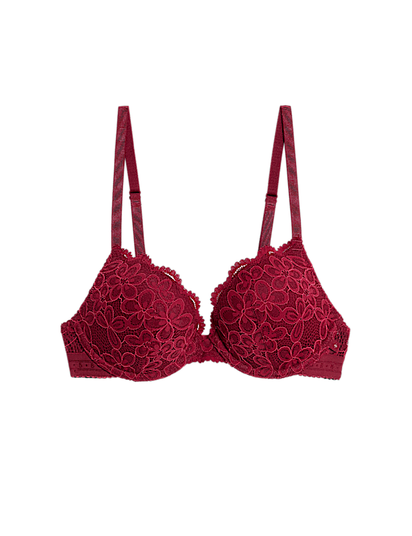 Cleo Lace Wired Push-Up Plunge Bra (A-E)