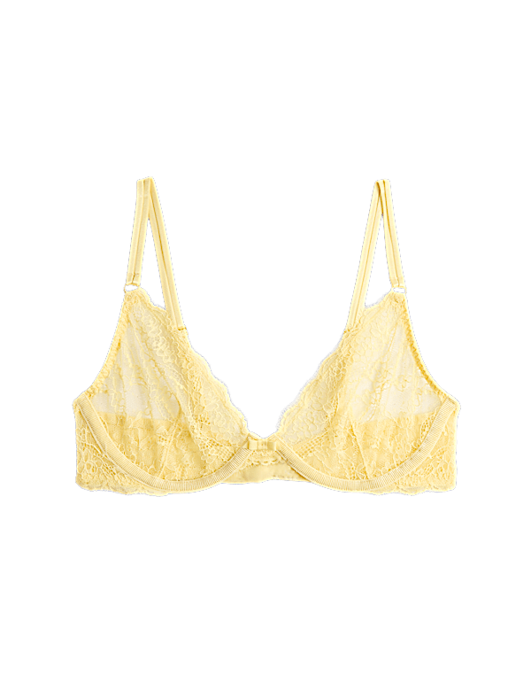 Ida Lace Wired Plunge Bra (A-E)