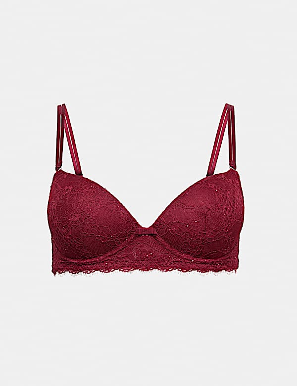 Lace Non Wired Push Up Plunge Bra A-E - BN
