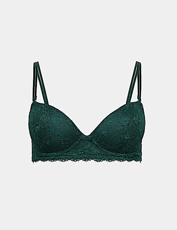 Lace Non Wired Push Up Plunge Bra A-E - NZ
