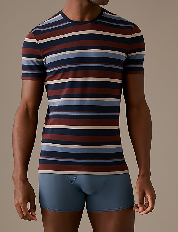 Premium Cotton T-Shirt Vest
