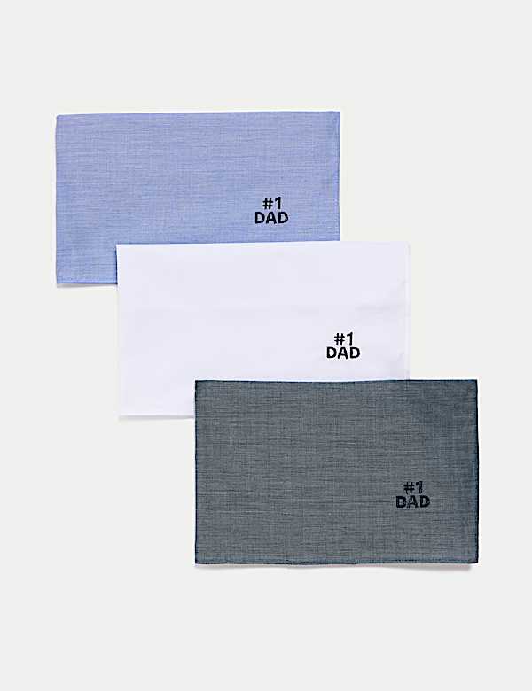 3pk Antibacterial Pure Cotton Handkerchiefs - PL