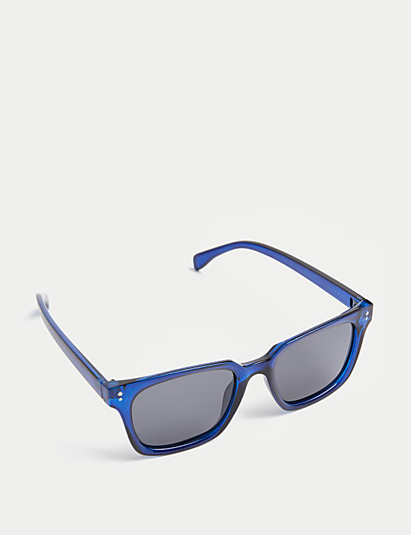 D Frame Polarised Sunglasses