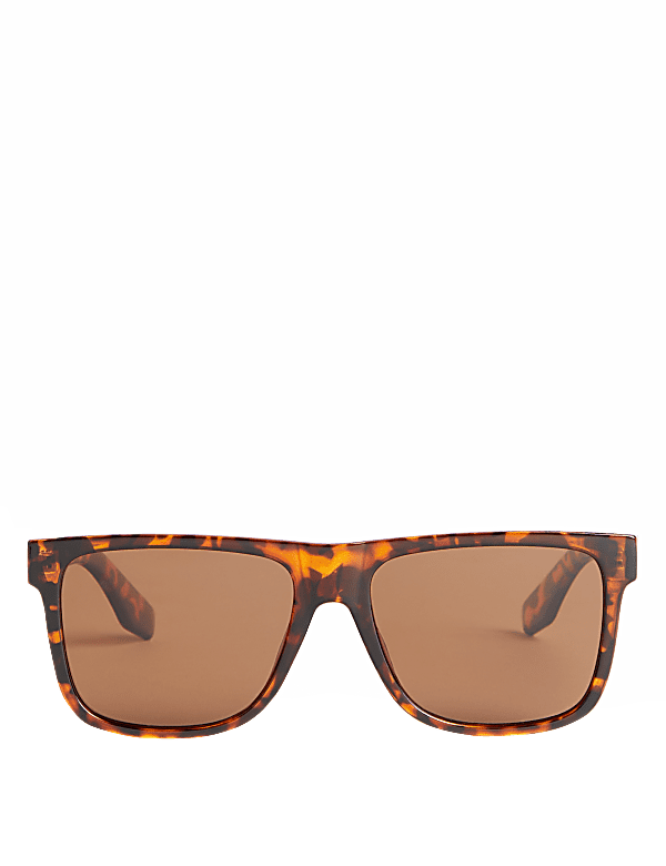 D Frame Polarised Sunglasses