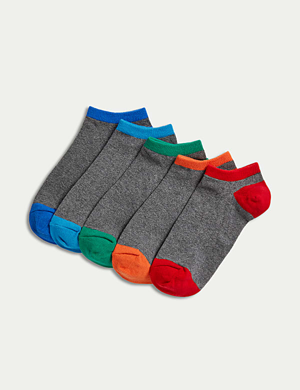 5pk Cool & Fresh™ Cotton Rich Trainer Liners - GR