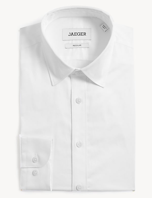 Regular Fit Pure Cotton Twill Shirt - GR