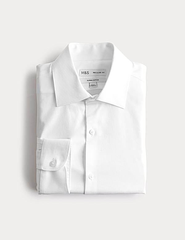 Regular Fit Pure Cotton Shirt - JP