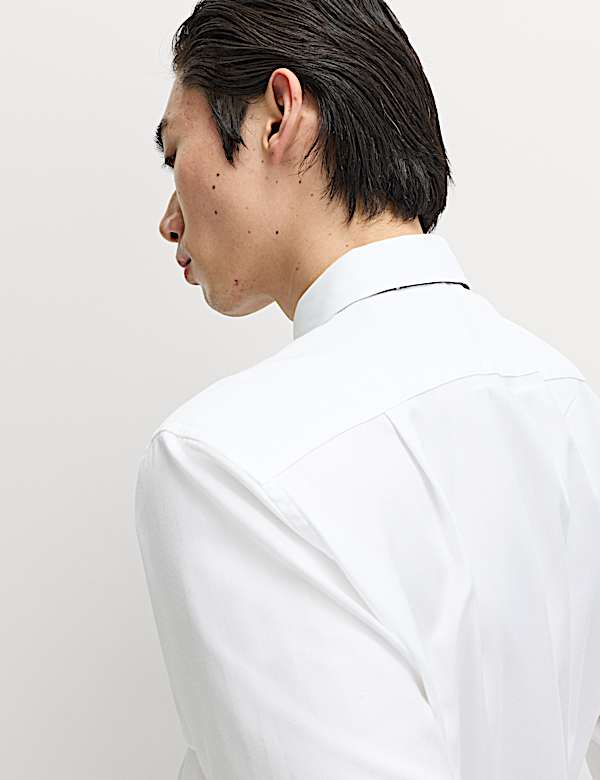 Regular Fit Pure Cotton Twill Shirt - UA