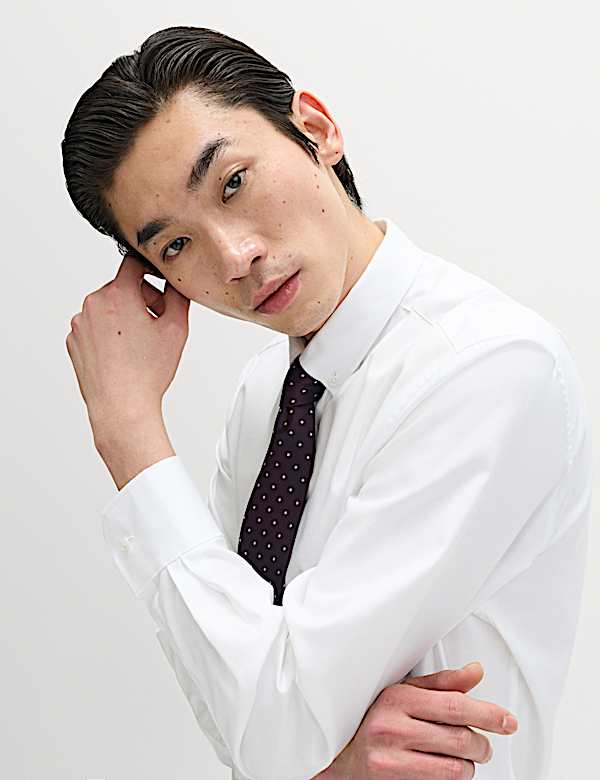 Regular Fit Pure Cotton Twill Shirt - UA