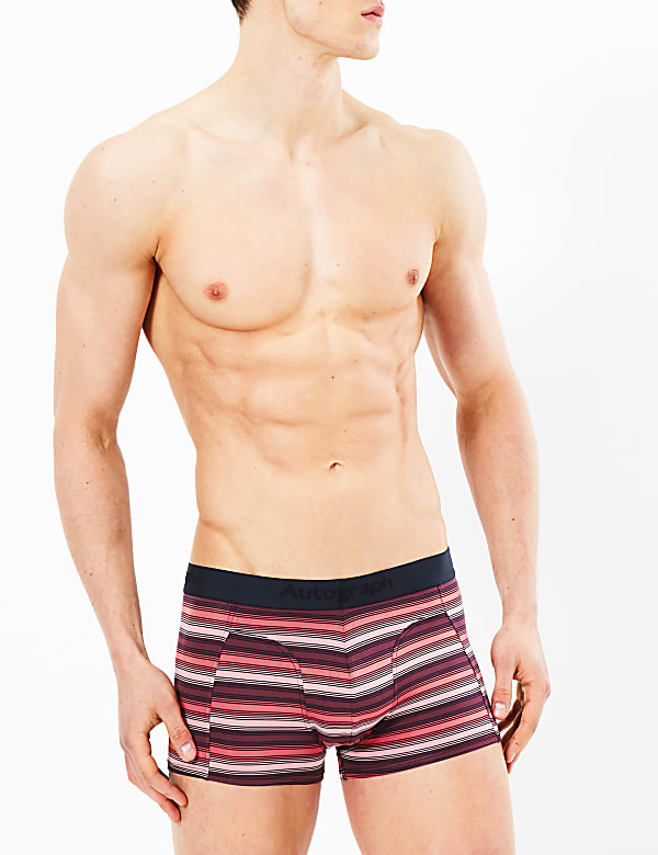 3 Pack Microskin Stripe Hipsters