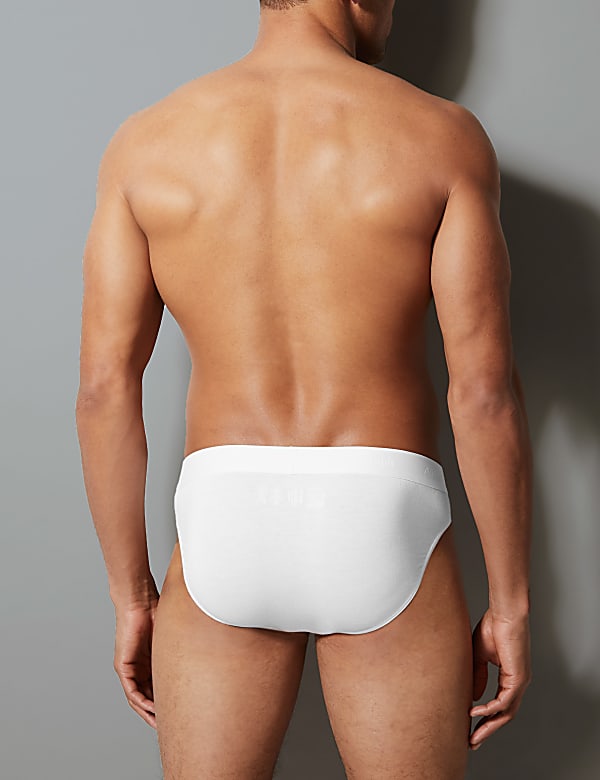 3 Pack Supima® Modal Blend Briefs