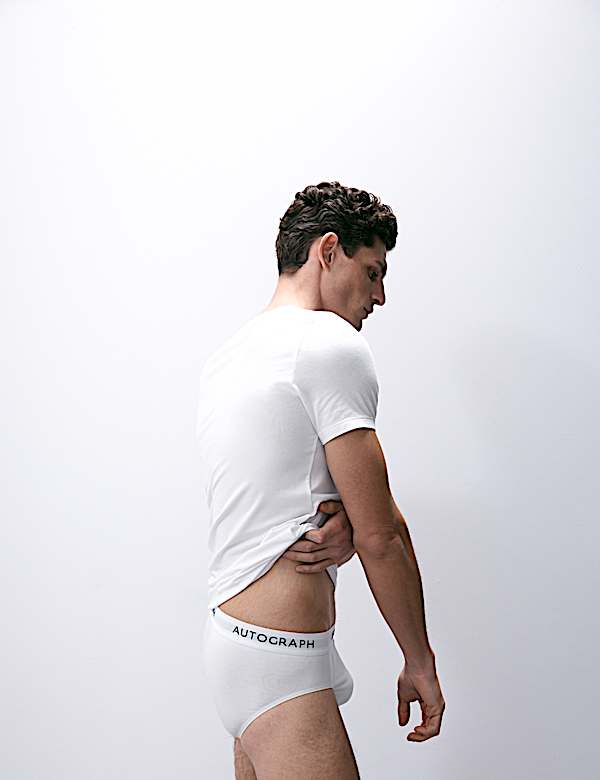 5pk Supima® Cotton Modal Briefs - VN