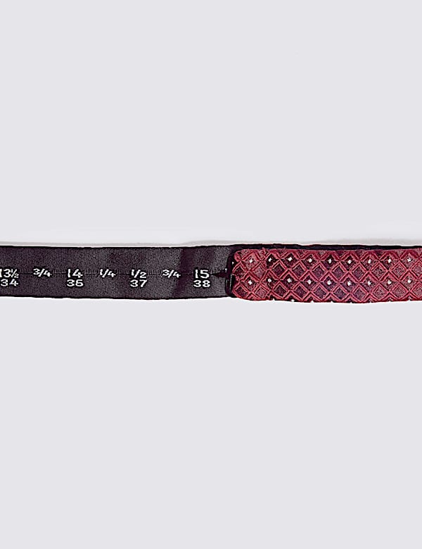 Geometric Bow Tie