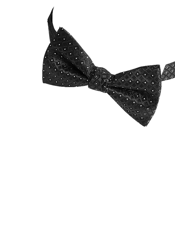 Geometric Bow Tie