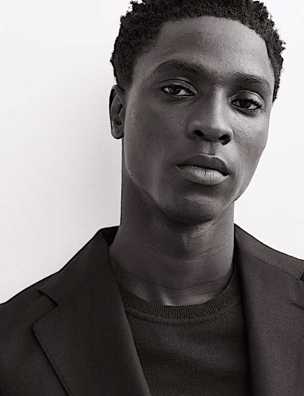 Italian Wool Twill Flannel Blazer - BE