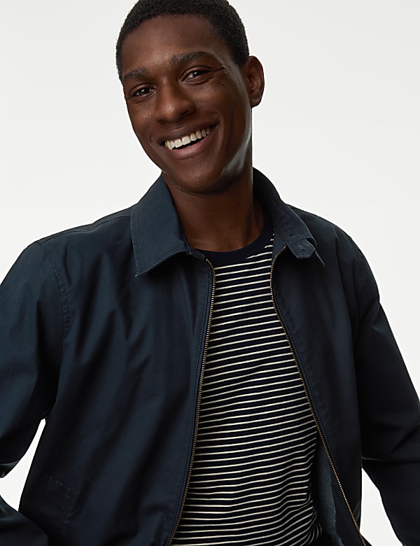 Cotton Rich Harrington Jacket - US