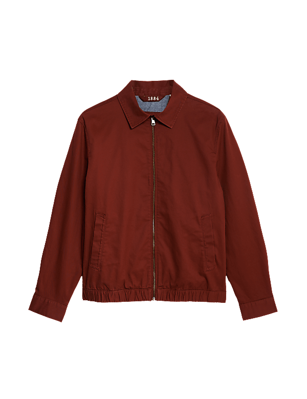 Buy Cotton Rich Harrington Jacket at Marks & Spencer