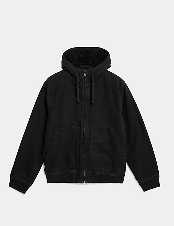 Hooded borg jacket 2025