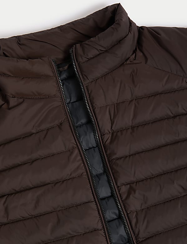 Feather and Down Gilet
