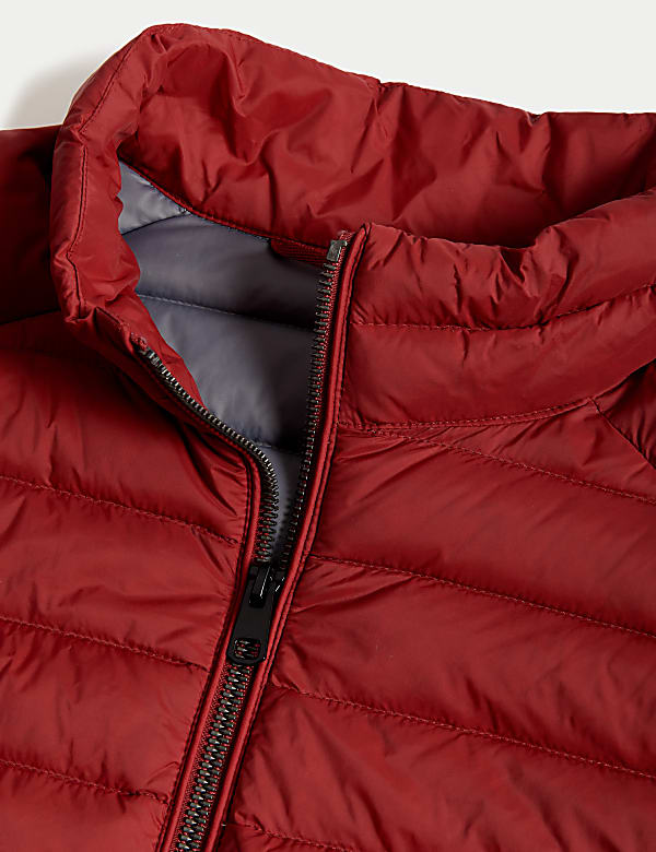 Feather and Down Gilet with Stormwear™