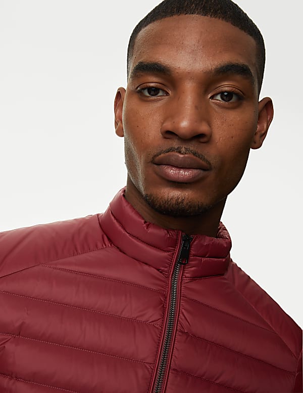 Zip Up Solid Puffed Jacket