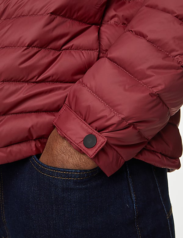 Zip Up Solid Puffed Jacket