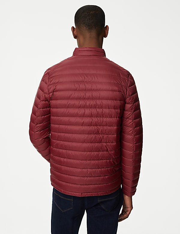 Zip Up Solid Puffed Jacket
