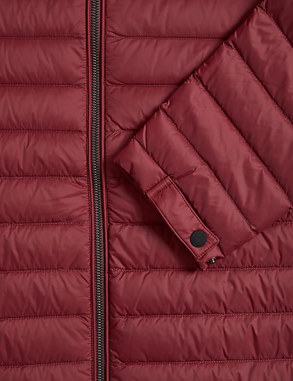 Zip Up Solid Puffed Jacket