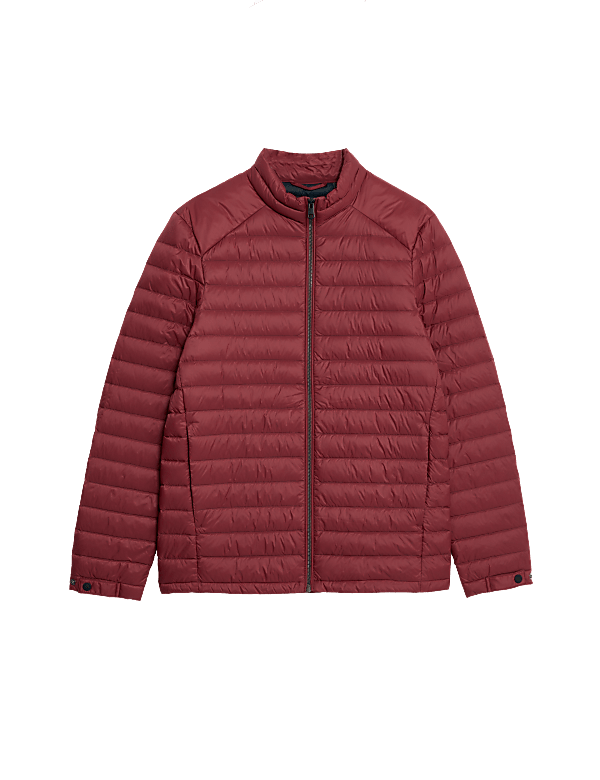 Zip Up Solid Puffed Jacket