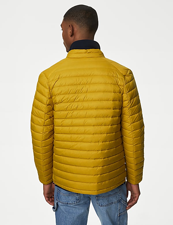 Zip Up Solid Puffed Jacket