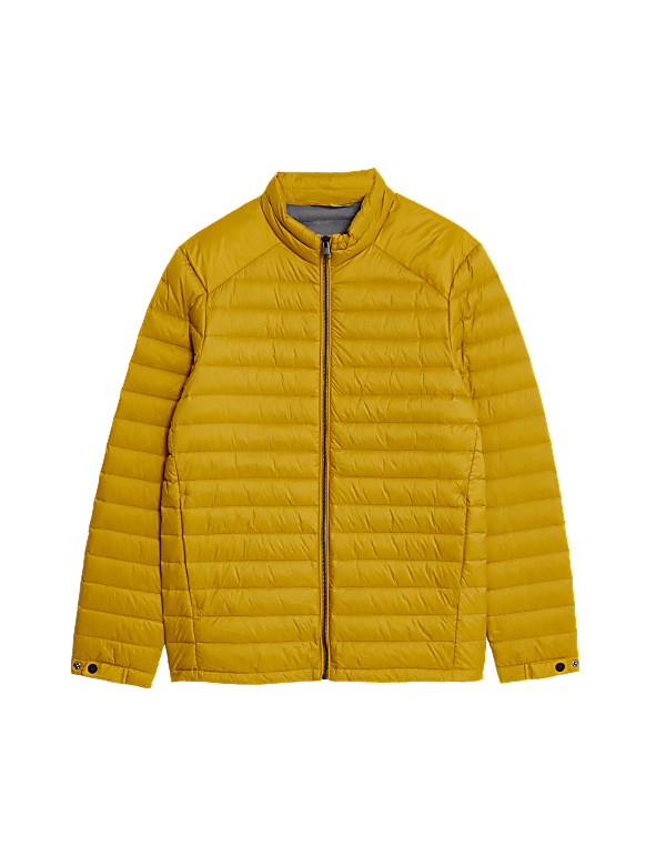 Zip Up Solid Puffed Jacket