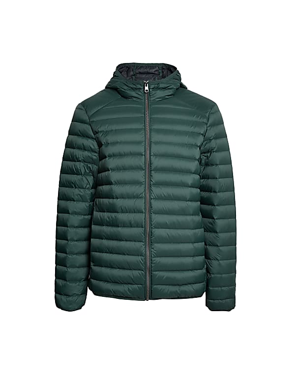Feather and Down Jacket with Stormwear™