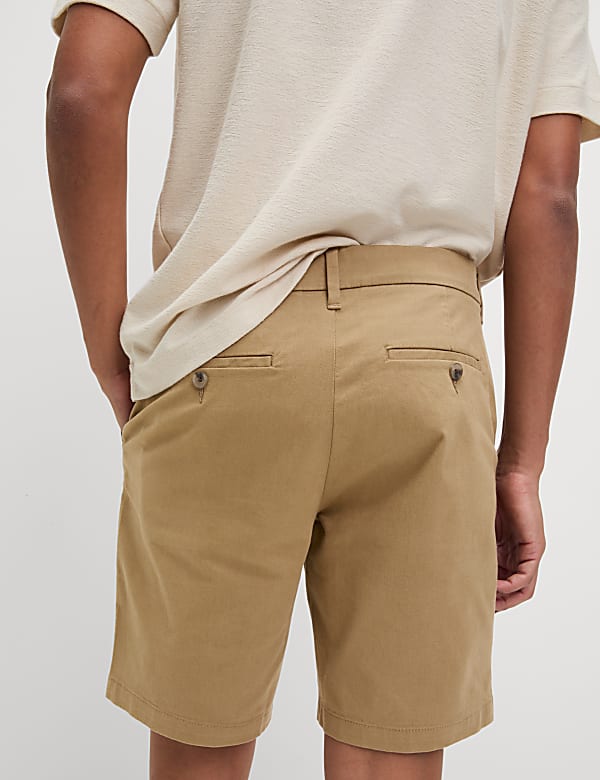 2 Pack Regular Fit Stretch Chino Shorts - AL