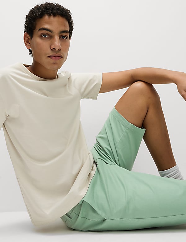 Regular Fit Stretch Chino Shorts
