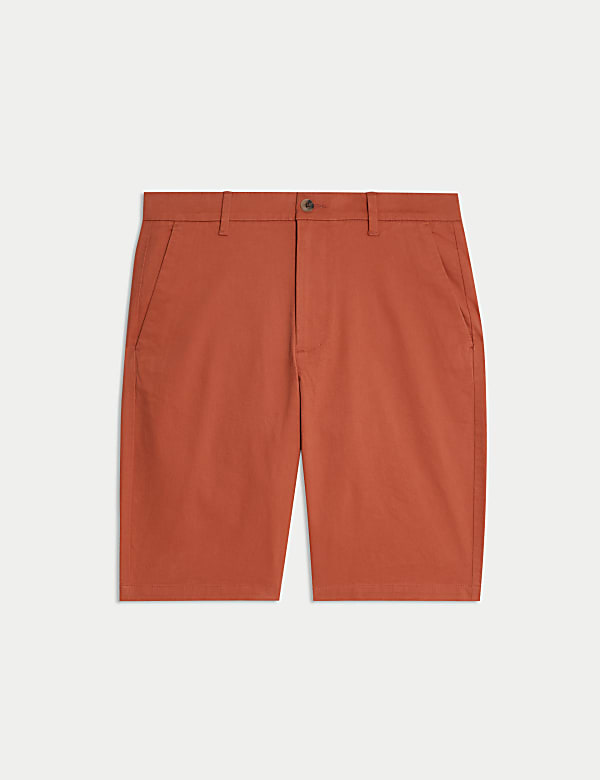 Regular Fit Stretch Chino Shorts - LT