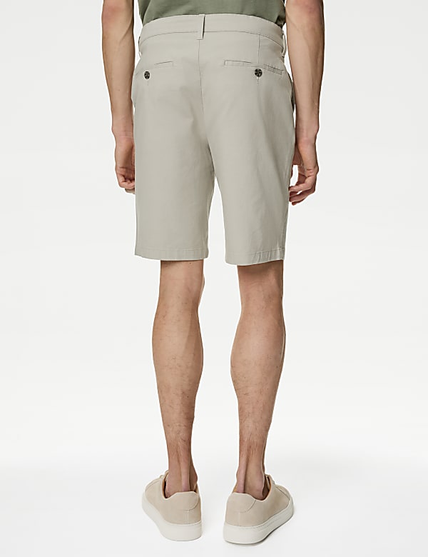 Stretch Chino Shorts - CZ
