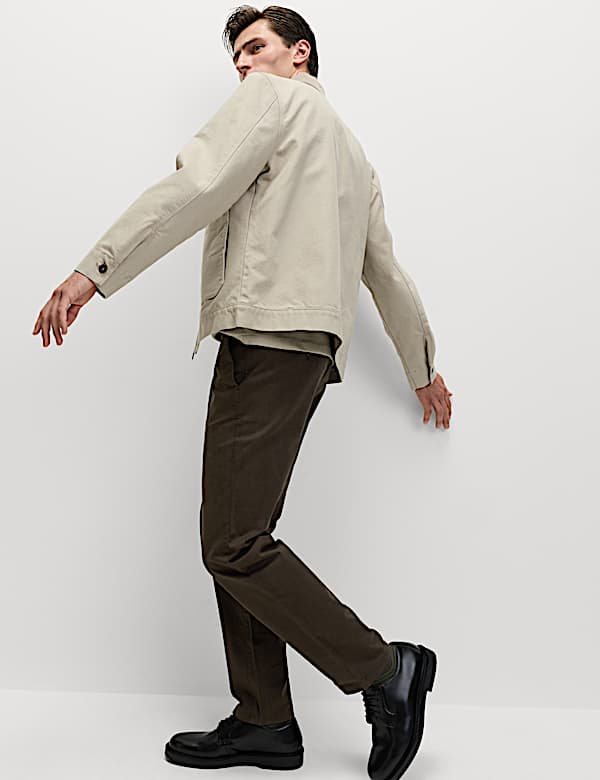 Regular Fit Stretch Chinos