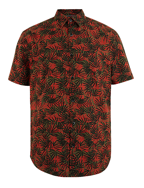 Pure Cotton Palm Print Shirt